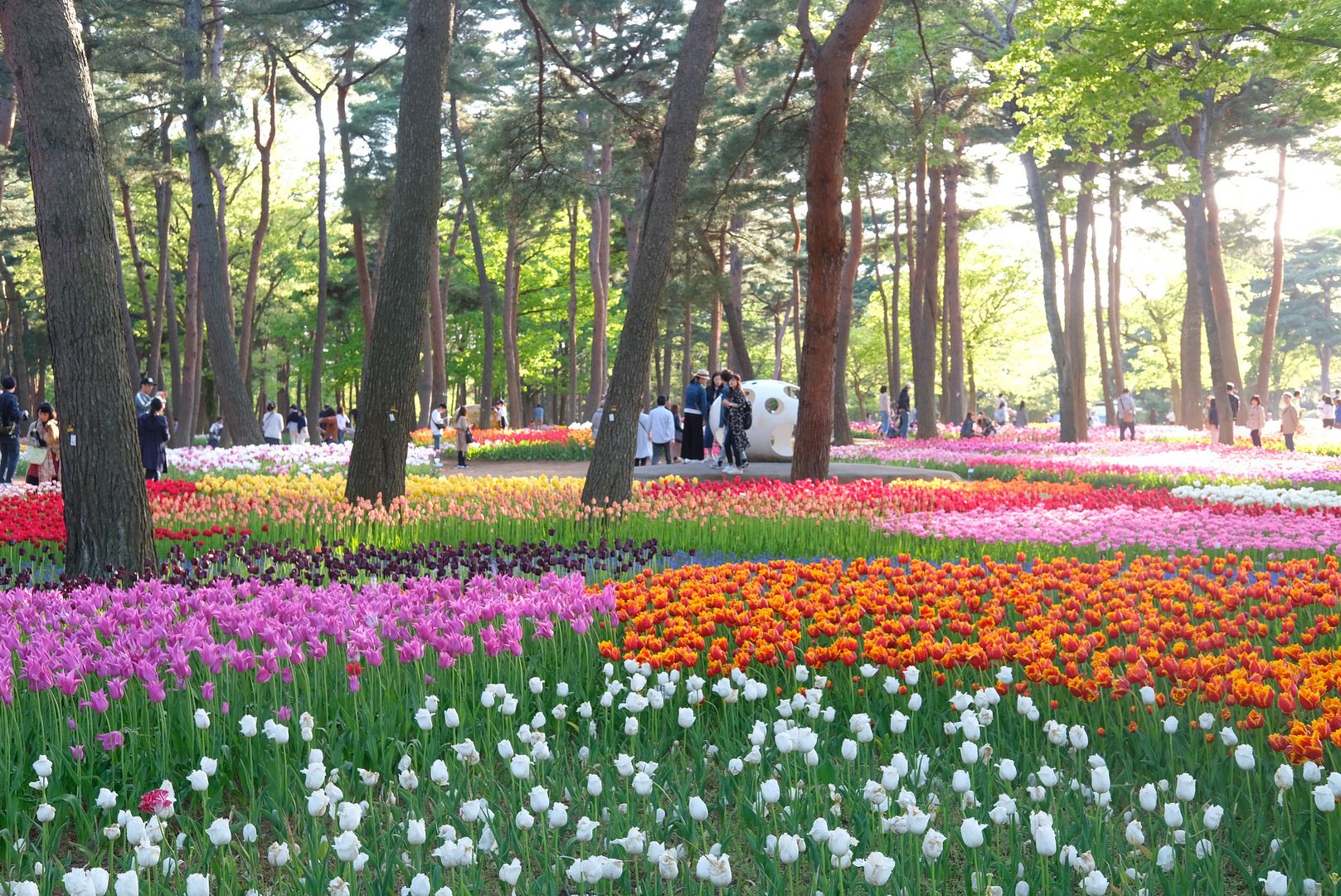 photo Hitachi Seaside Park Ibaraki Japan 11.jpg