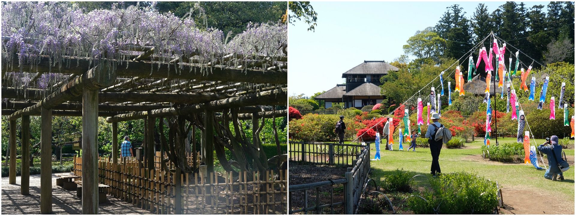 photo Kairakuen Garden Ibaraki_1.jpg