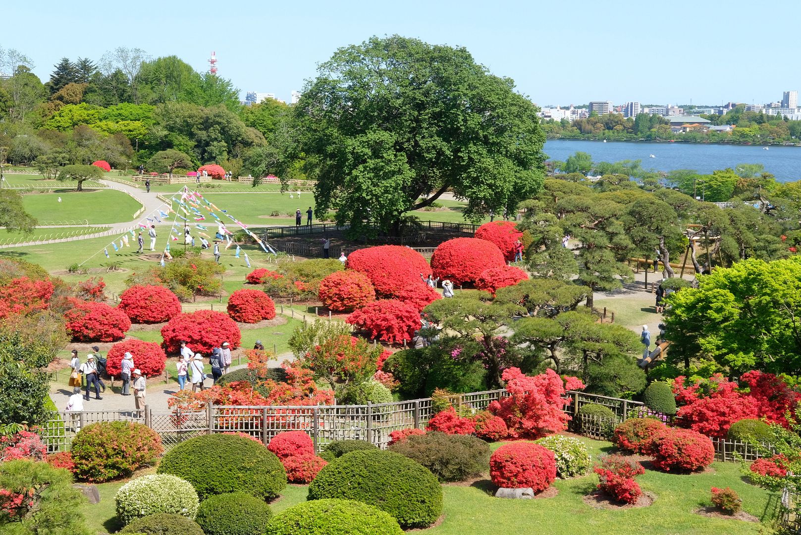 photo Kairakuen Ibaraki Japan.jpg