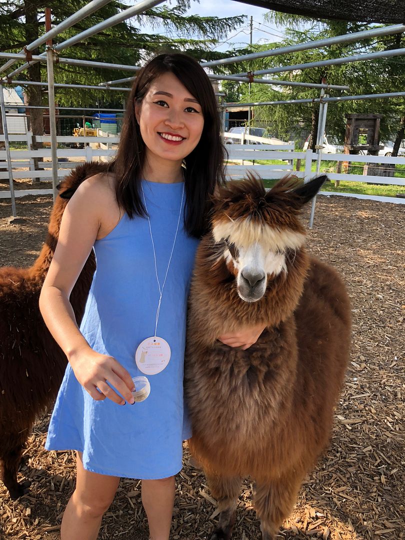 photo Nasu Alpaca Farm.jpg