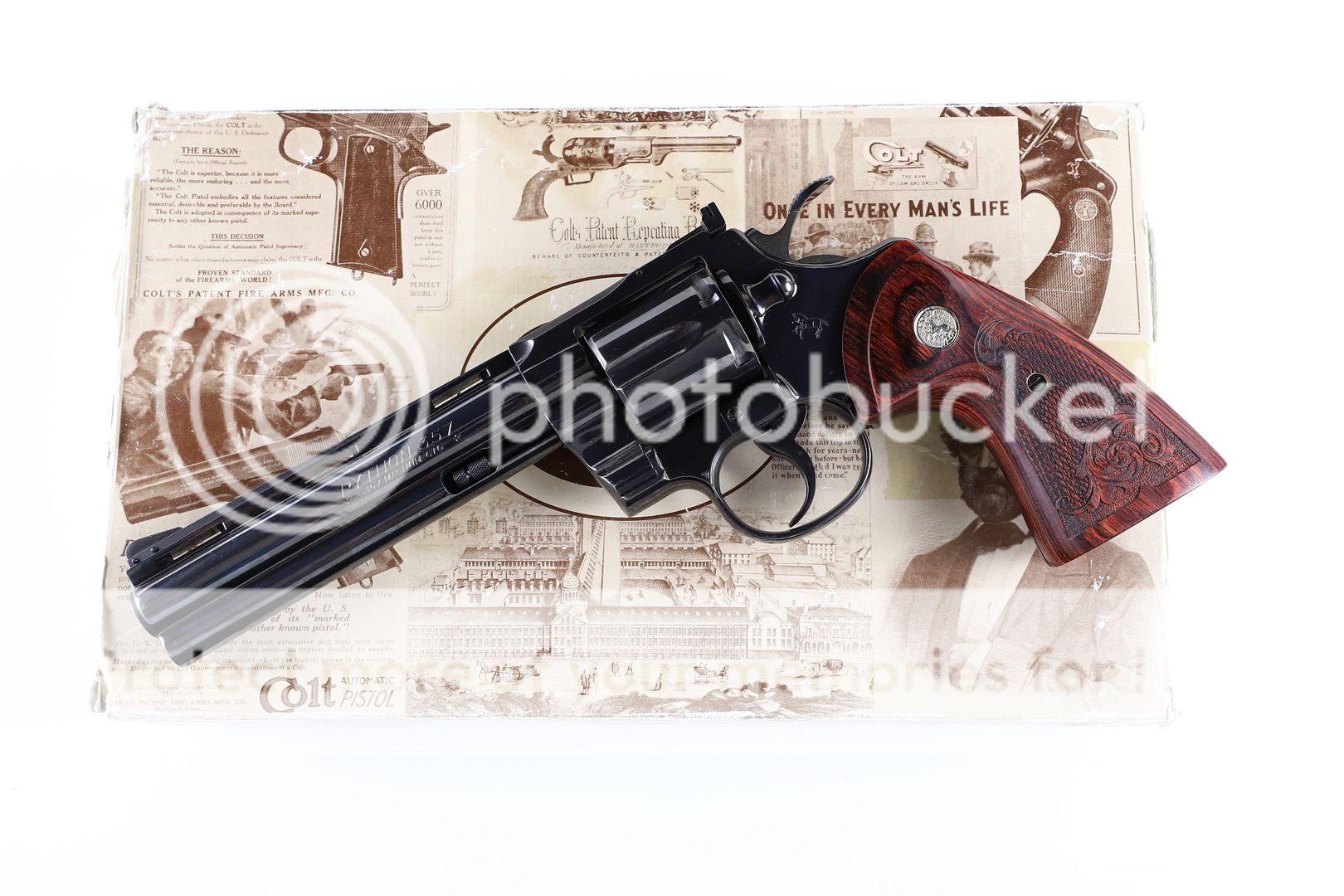  photo IMG_1093_zpsqnjskv46.jpg