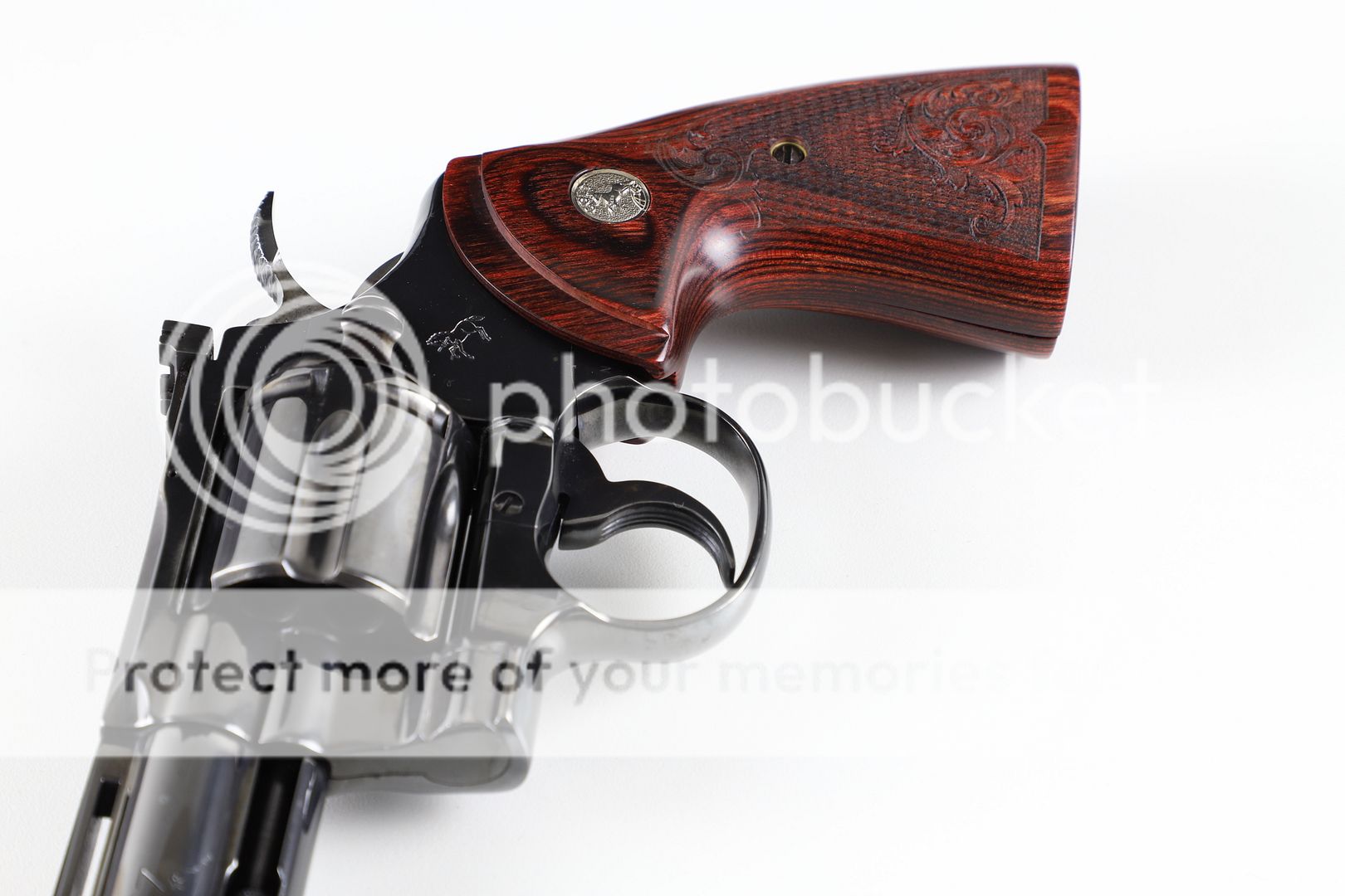  photo IMG_1098_zps2nxlrj5p.jpg