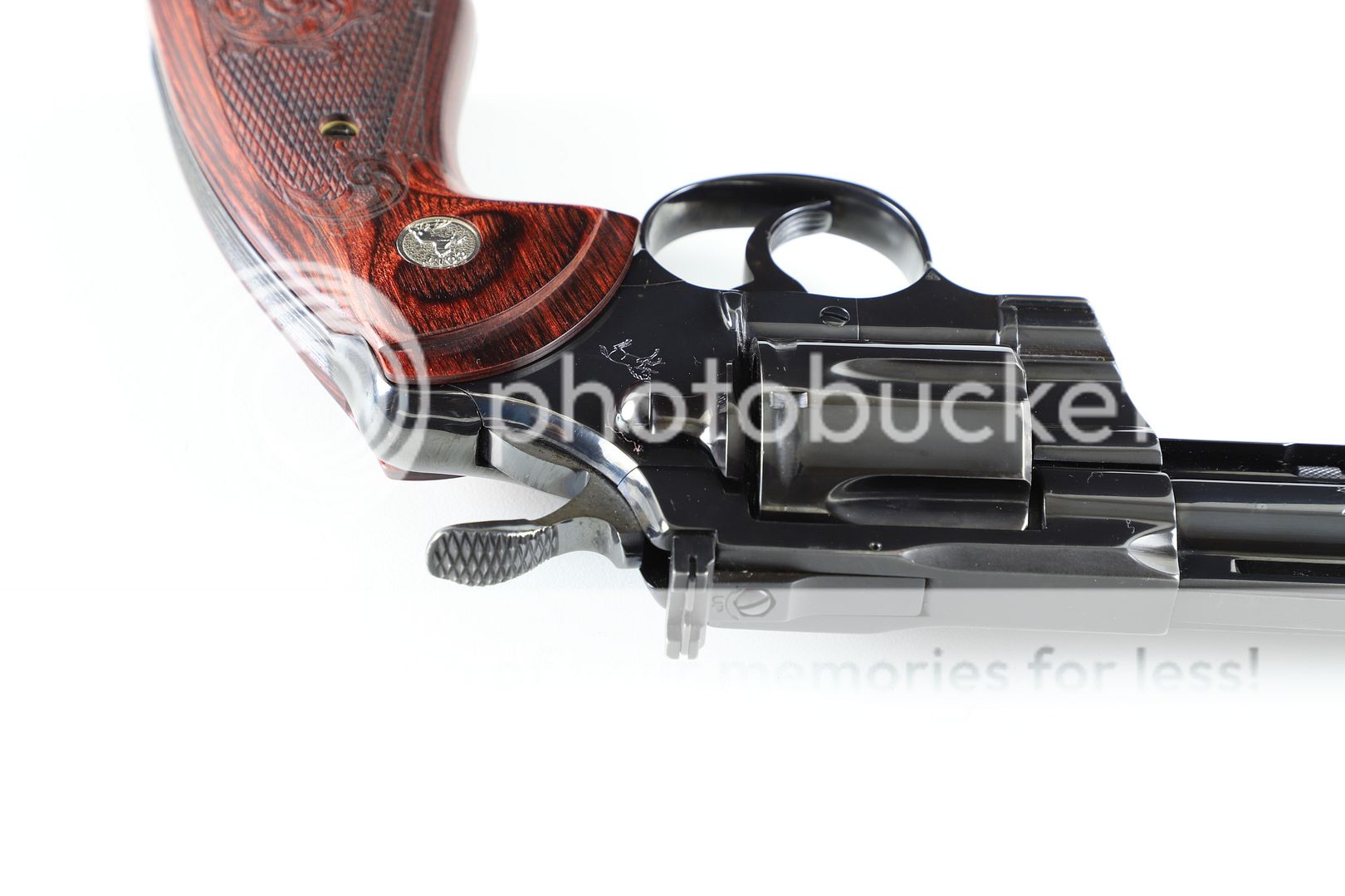  photo IMG_1102_zps7x125eu2.jpg