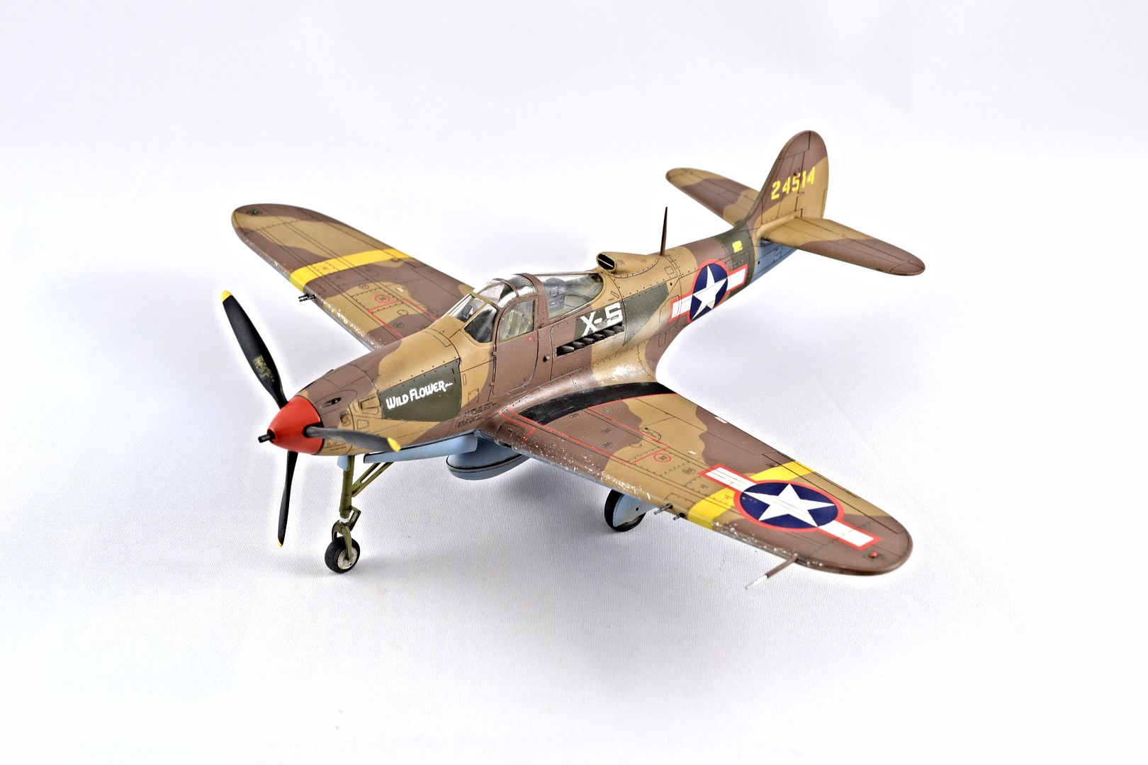 1/48 Bell P-39L Airacobra, 81st FG North Africa - Ready for Inspection ...